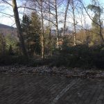 bank_02_ausblick