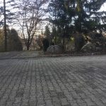 bank_05_ausblick