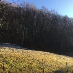 bank_16_ausblick