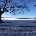 bank_20_ausblick