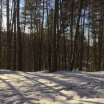 bank_27_ausblick