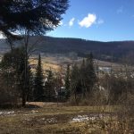 bank_32_ausblick