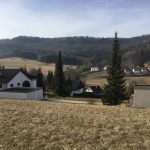 bank_33_ausblick