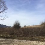 bank_36_ausblick