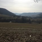 bank_37_ausblick
