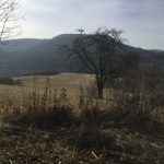 bank_38_ausblick