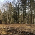 bank_39_ausblick