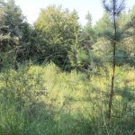 img_1084-001
