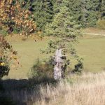 img_1105