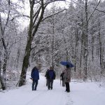 img_1377
